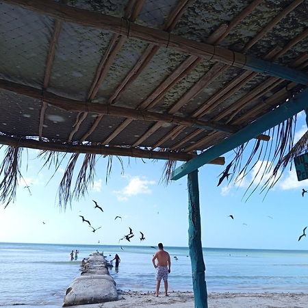 Mi Habitat Holbox-Maravilla Natural المظهر الخارجي الصورة