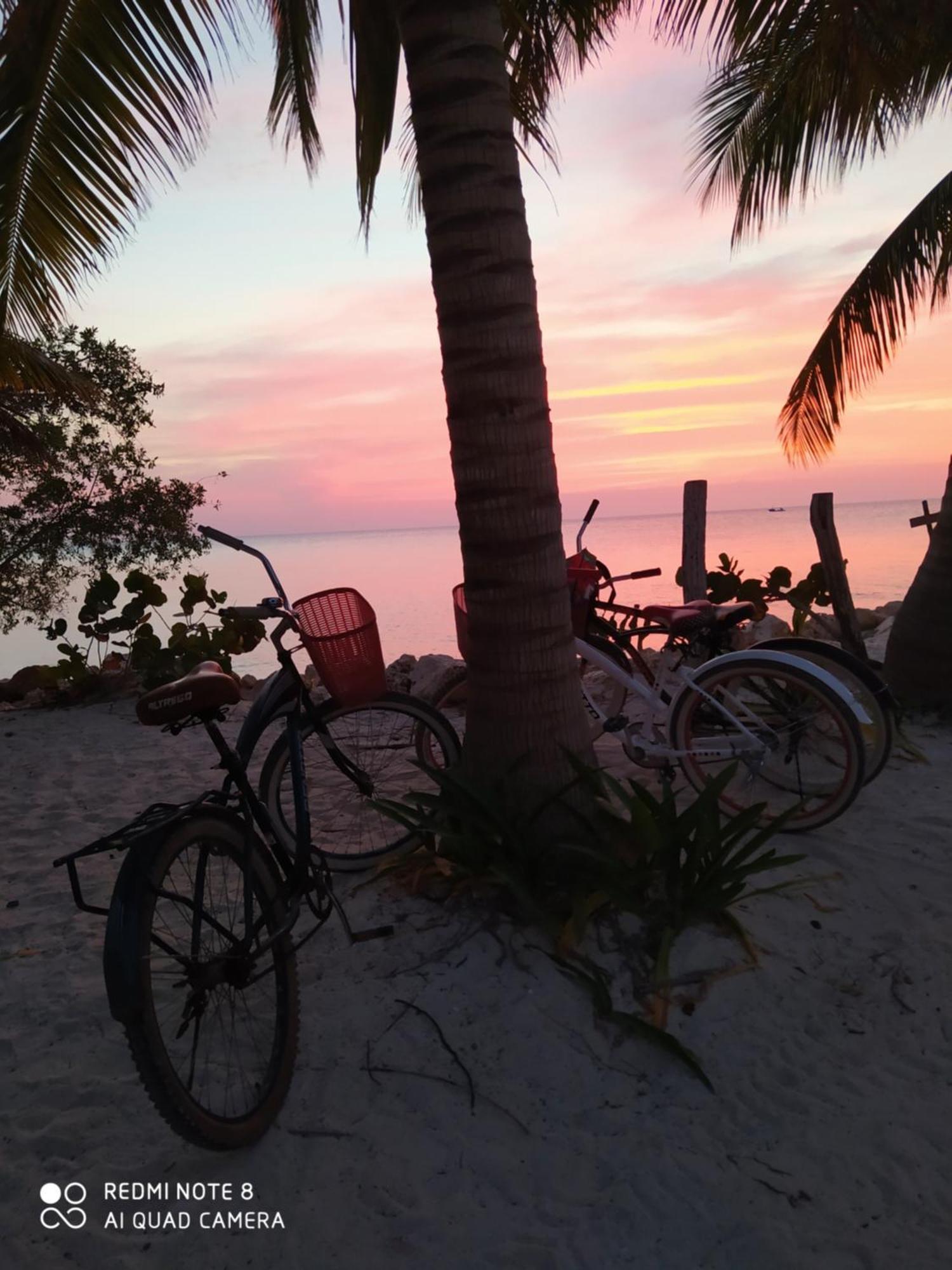 Mi Habitat Holbox-Maravilla Natural المظهر الخارجي الصورة
