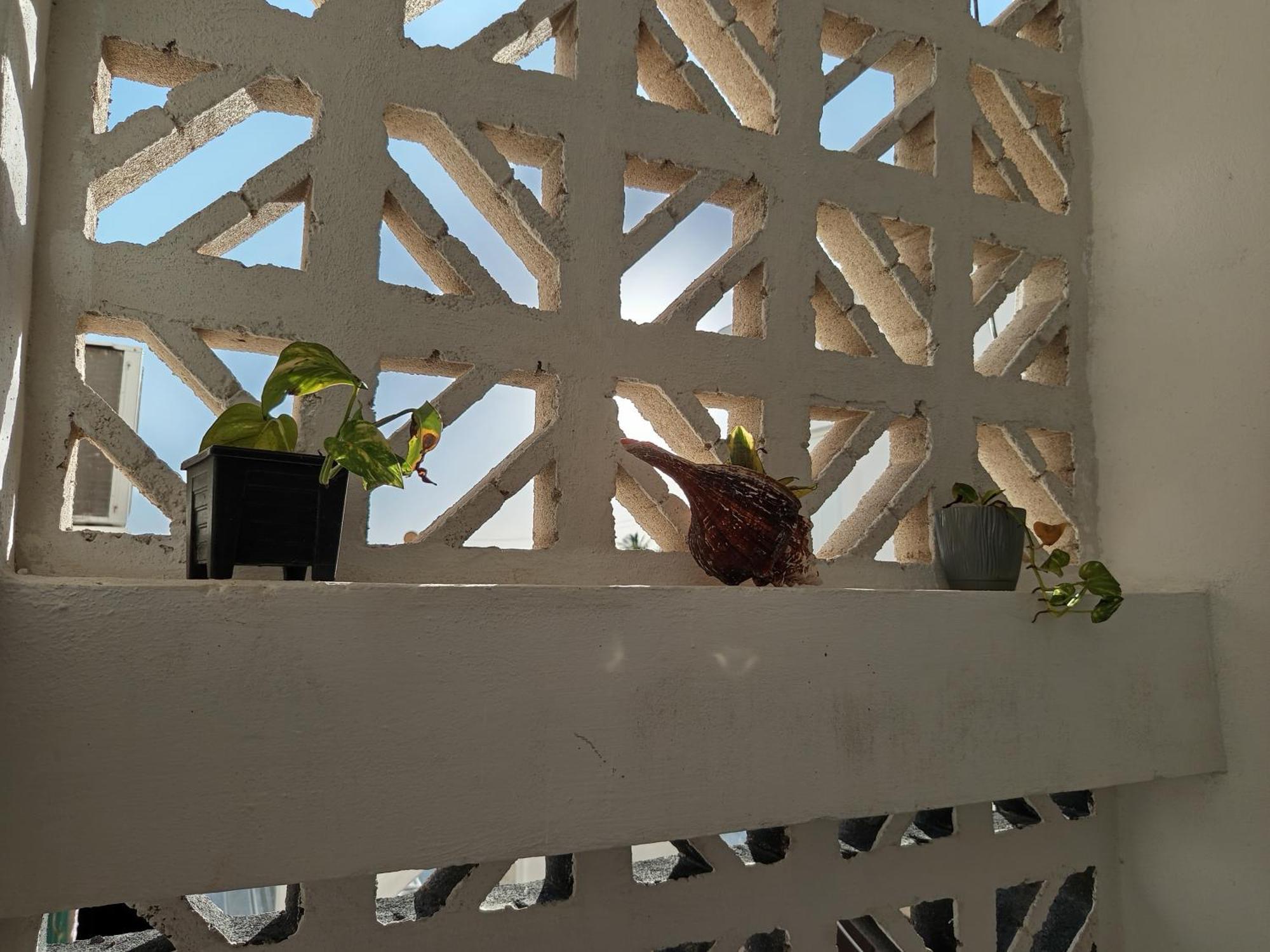 Mi Habitat Holbox-Maravilla Natural المظهر الخارجي الصورة